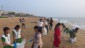 BEACH CLEAN (8)