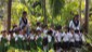 LKG (15)
