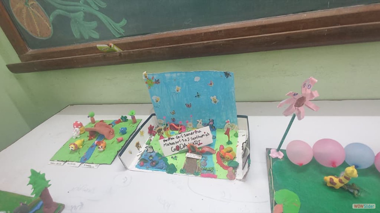 IHA1 (11)